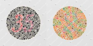 Ishihara Farbtafeln, Buchformat, 14 Tafeln