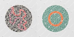 Ishihara Farbtafeln für Analphabeten und Kinder im Buchformat